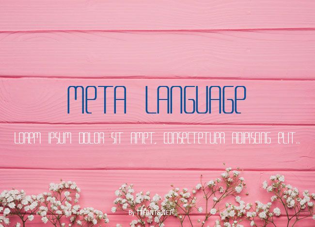 Meta Language example